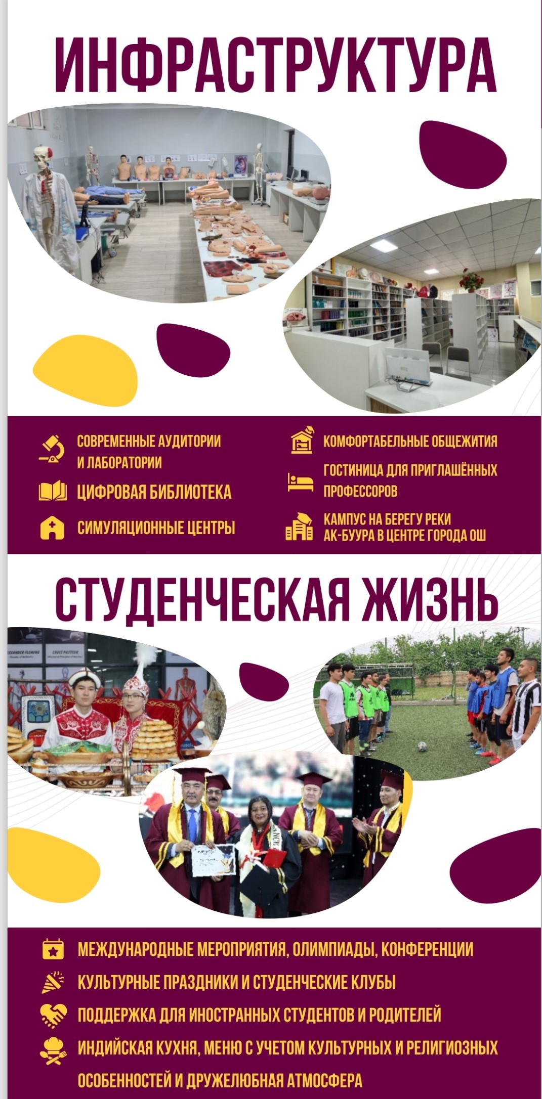 oimu оэаму medical university gallery галерея