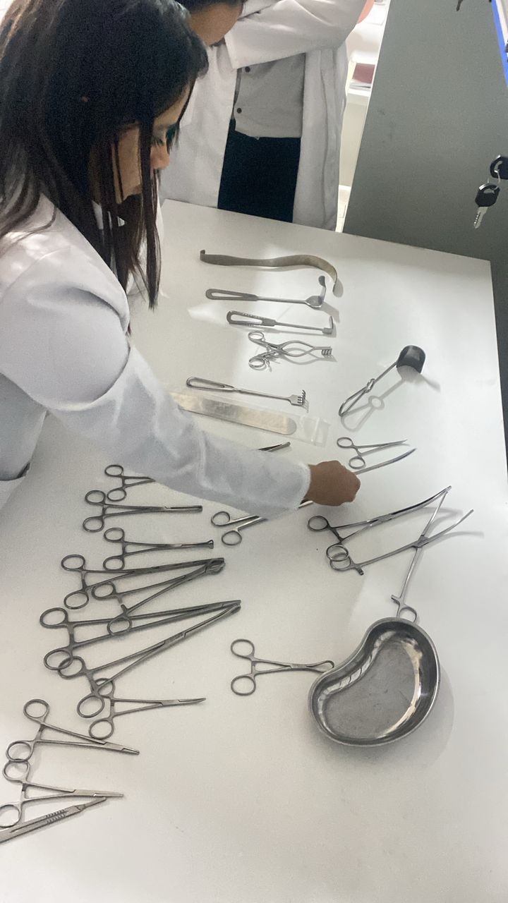 oimu gallery оэаму ошиму oshimu medical university news