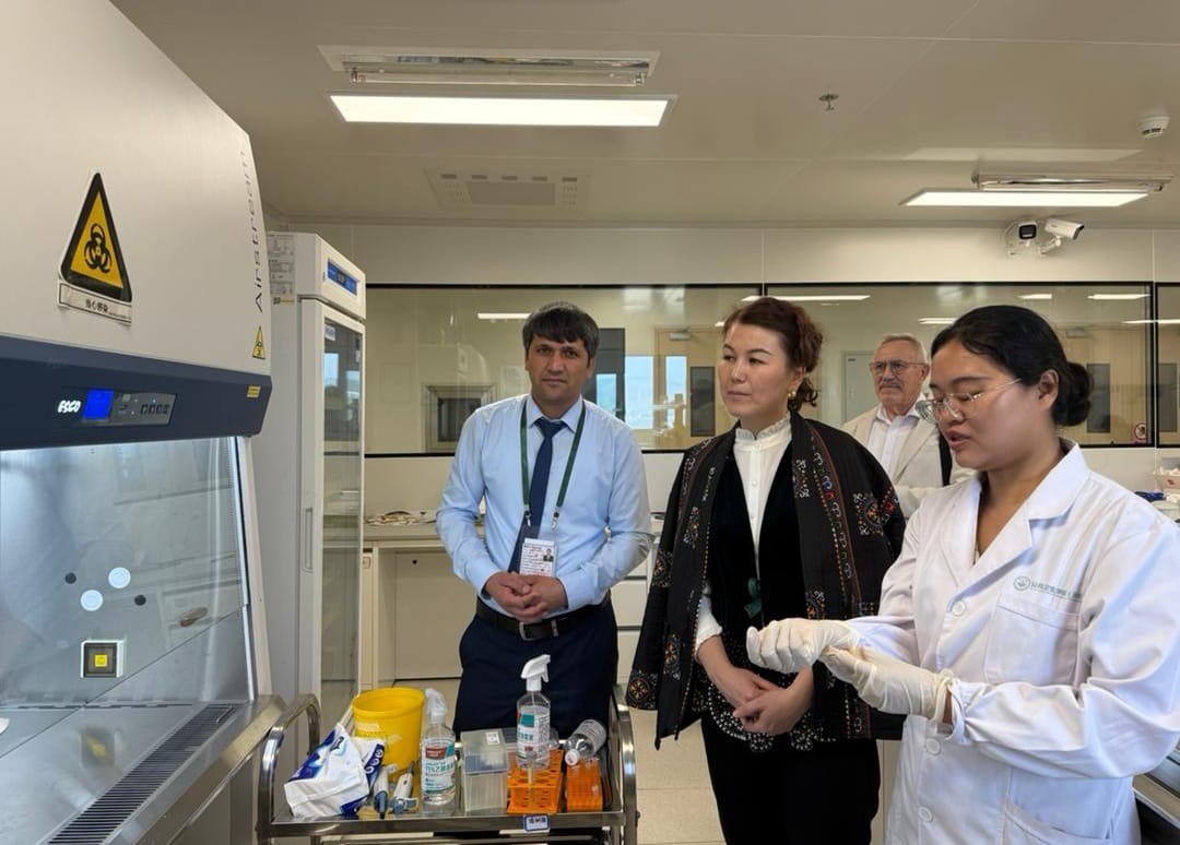 oimu gallery оэаму ошиму oshimu medical university news