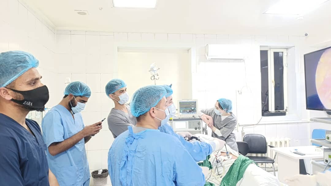 oimu gallery оэаму ошиму oshimu medical university news