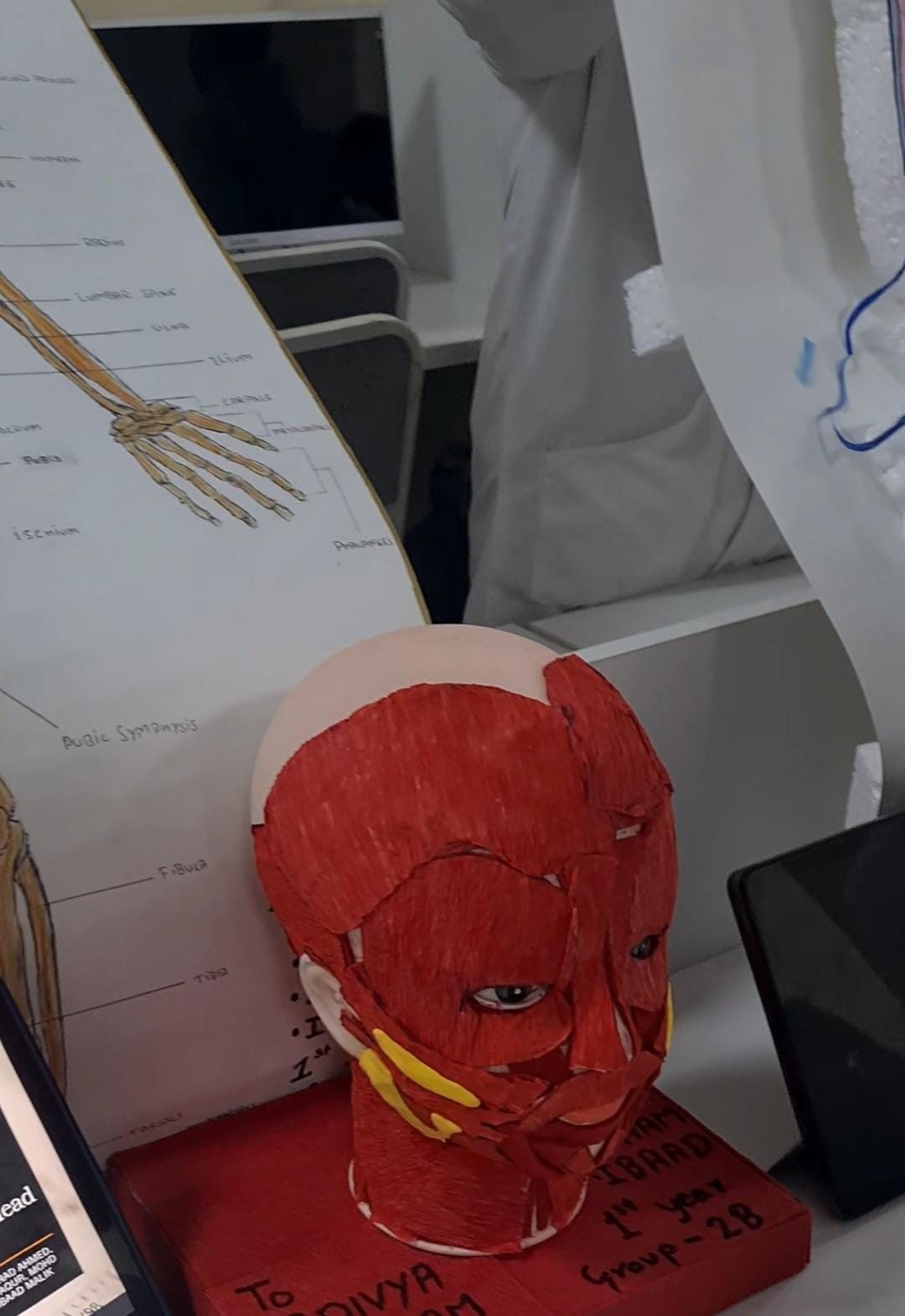 oimu gallery оэаму ошиму oshimu medical university news