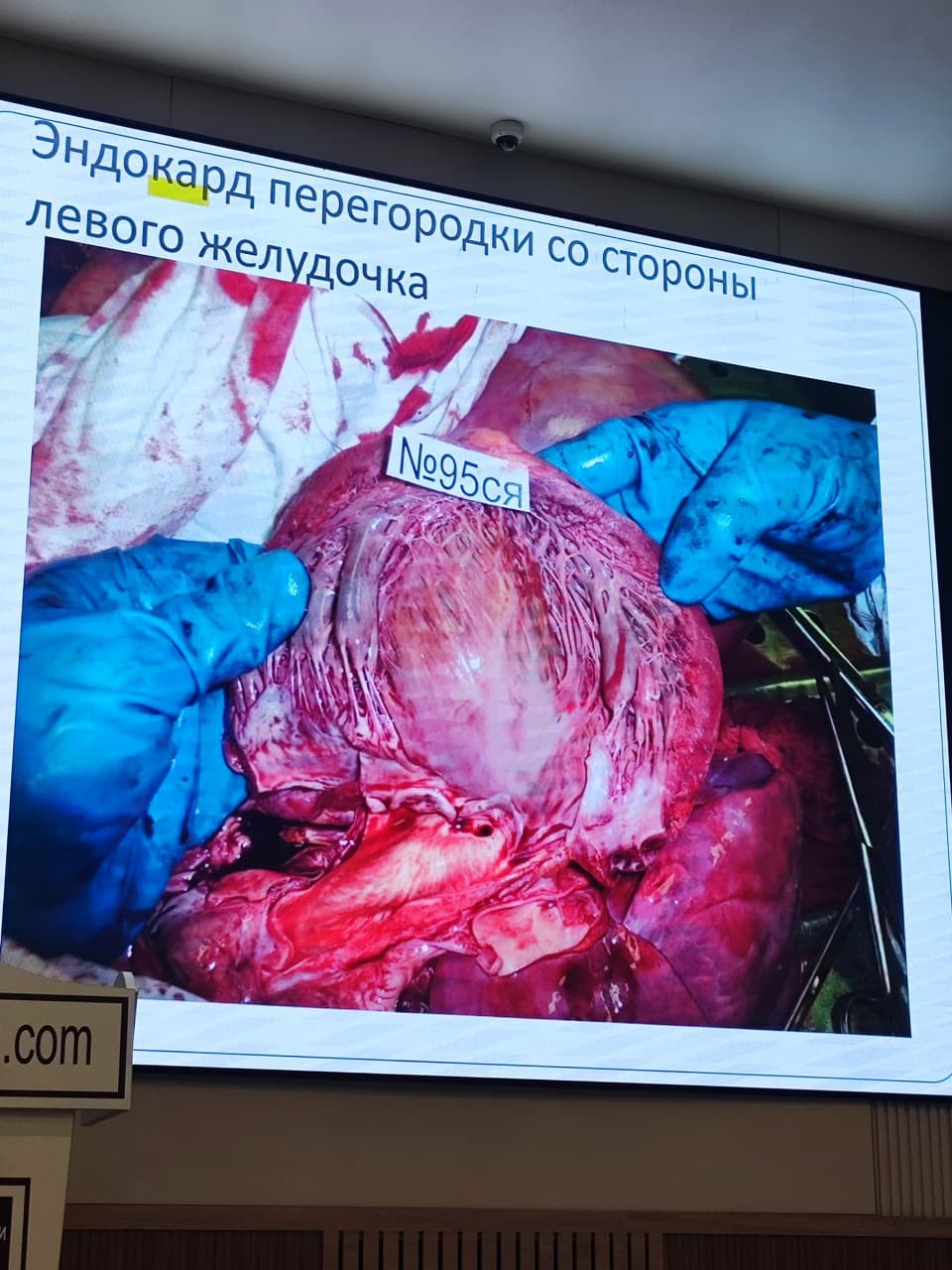oimu gallery оэаму ошиму oshimu medical university news